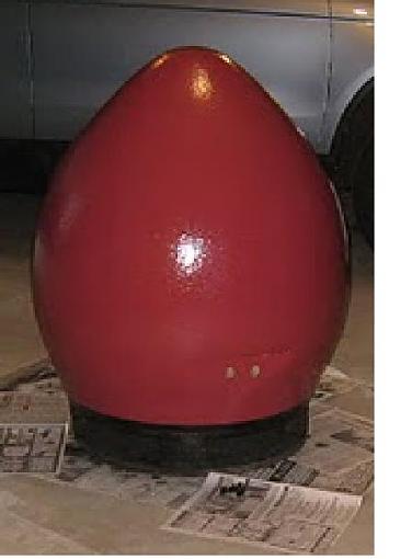 -egg-back.jpg