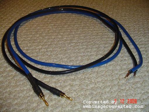 Speaker Wires-dsc02651.jpg
