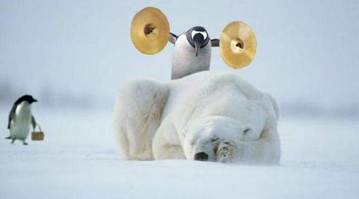 Extended Warrenty Paid Off!!!-penguin.jpg