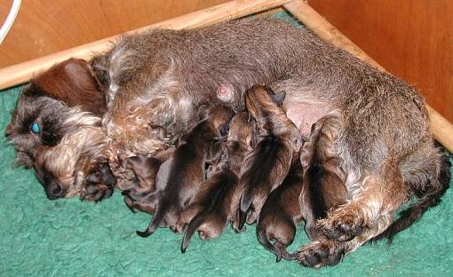New Arrivals.-libby-pt.2.jpg