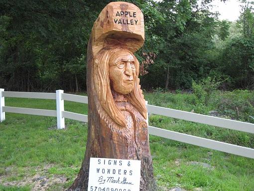 OK, so my town is nuts!-stump.jpg