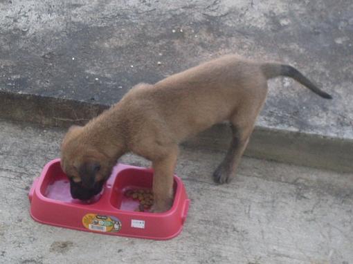 My latest purchase-sdc10080a.jpg