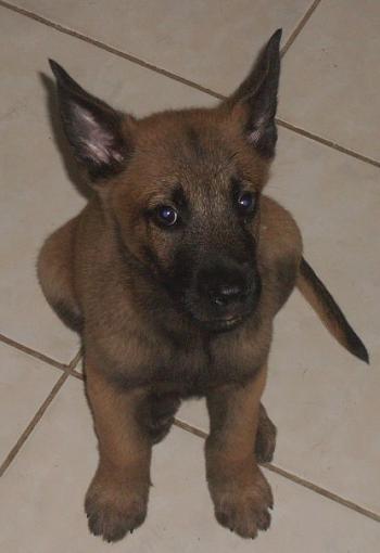 My latest purchase-sdc10128-.jpg