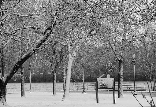 A few more pictures-cobb-park-2.jpg
