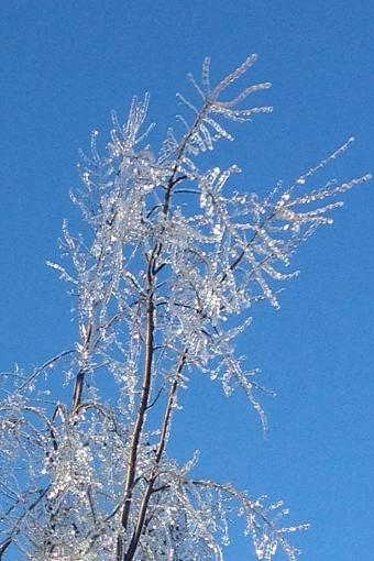 Ice Storm 2013-933912_10151745510807132_1363997540_n.jpg