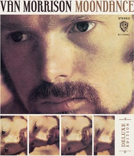 Name:  Moondance.jpg
Views: 203
Size:  24.2 KB