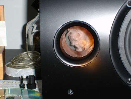 A couple of questions on my new speakers-dsc00572.jpg