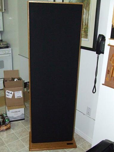 Flip Maggies for Acoustat???-acoustat2200.jpg