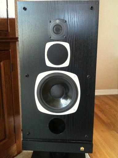 Info on older Castle speaker-img_0158.jpg